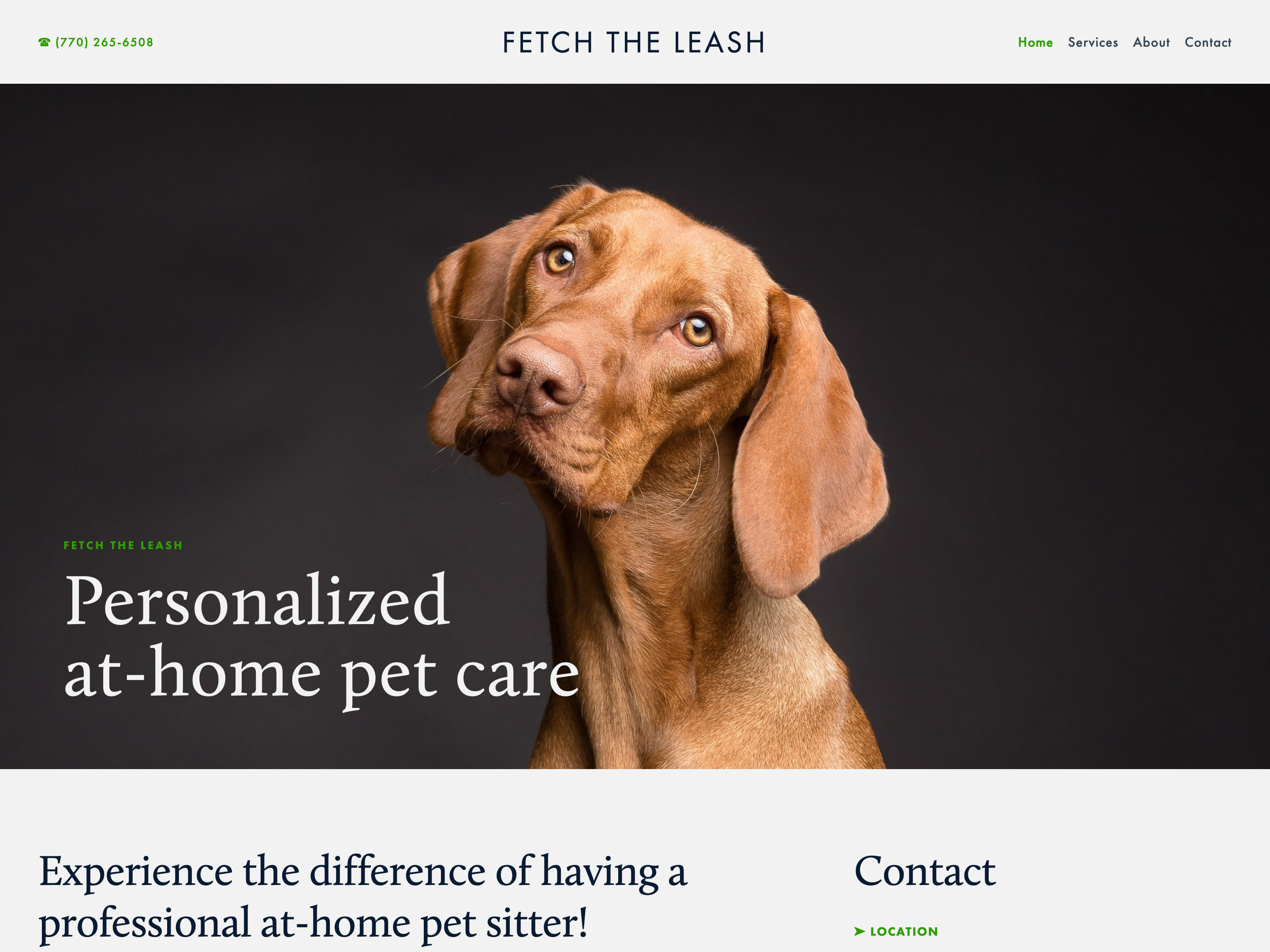 Fetch The Leash Website thumnail image